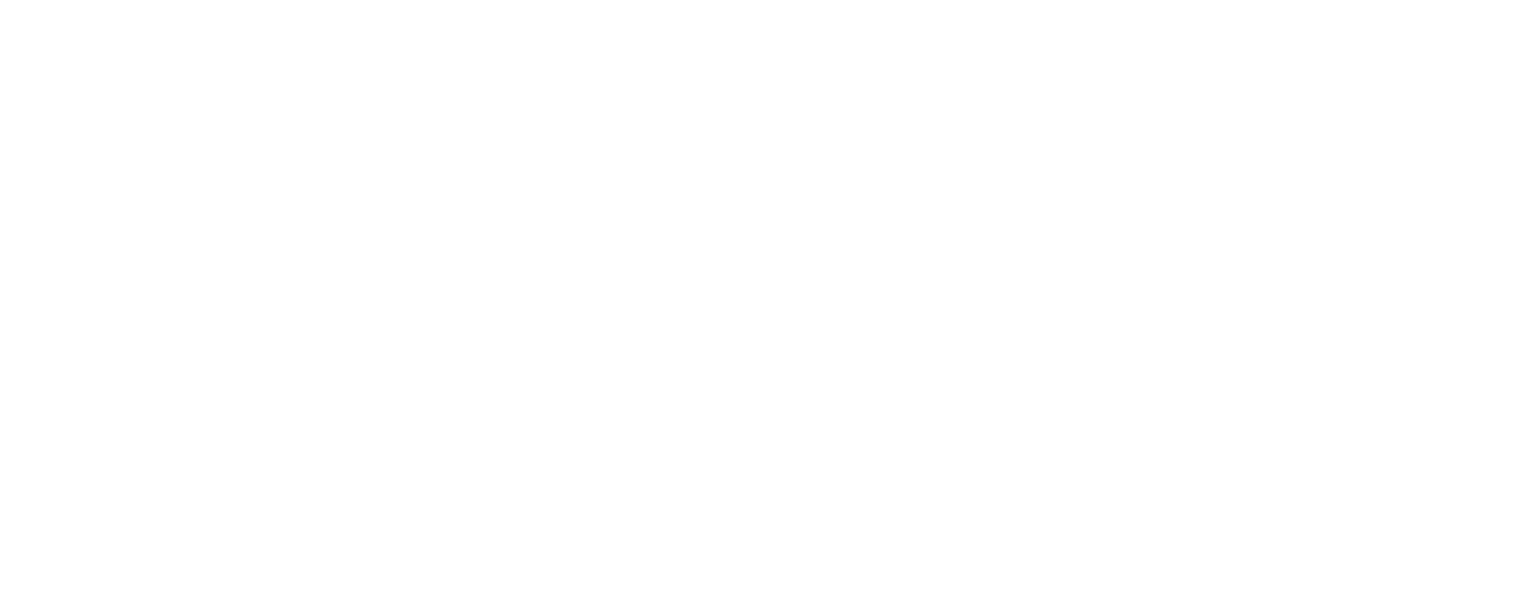 Unidema